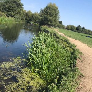 Flatford