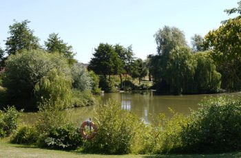 Recycle at Homestead Lake Park in 2019