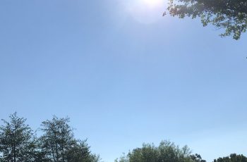 Park Closure Update – 29th May 2020