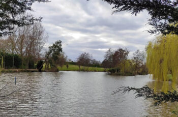 Daily Fishing Closure